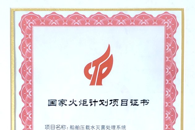 国家火炬妄想项目